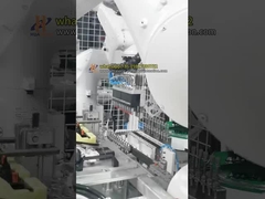 Célula de inserción de clip de doble robot para el ensamblaje de piezas automotrices